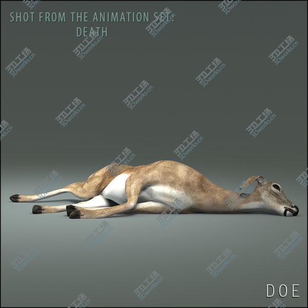 images/goods_img/20210312/Doe (ANIMATED)/4.jpg